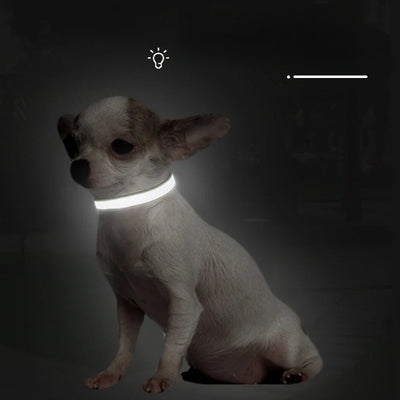 Custom Reflective Dog Collar with ID Engraving