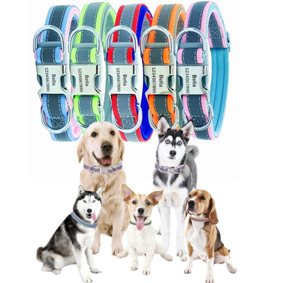Custom Reflective Dog Collar with ID Engraving