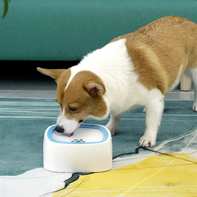 Non-Spill Floating Dog Water Bowl