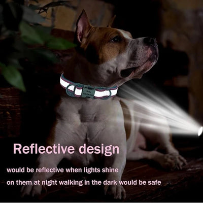 Custom Reflective Dog Collar with ID Engraving